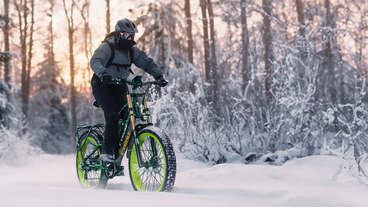 Foreign standards for electric bicycles