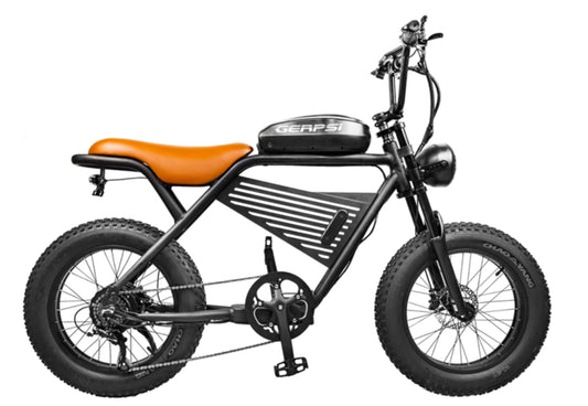 BLJ DP-2007 Vélo Électrique 20'' Gros Pneu Neige E-Bike Avec Grande Batterie 20Ah