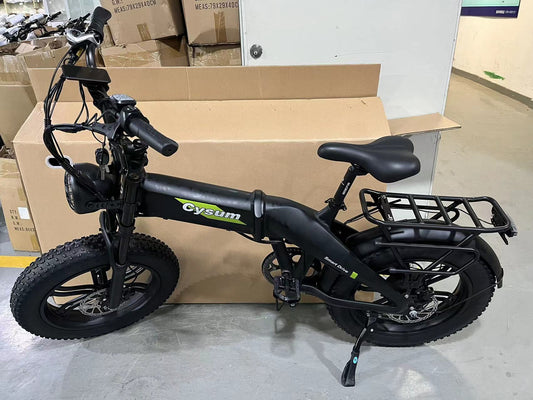Bicicleta eléctrica plegable pesada de tubo grueso BLJ DZ-2029 bicicleta eléctrica para nieve de 20 pulgadas