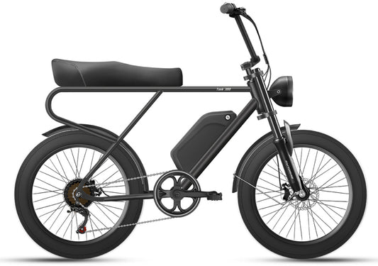 JSY E-TANK-300 E-bike 20 '' gros pneu vélo électrique 48v 500w 10Ah batterie au Lithium