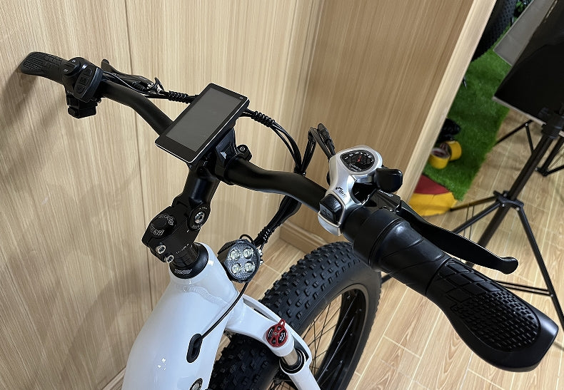 BLJ DP-2622 tout Terrain étape à travers le vélo électrique 48v 500W 26*4.0 gros pneu vélo pour femme