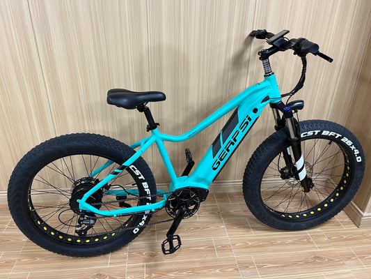 BLJ DP-2619 26 pouces vélo électrique tout Terrain 48v 13AH 500W gros pneu vélo électrique de montagne