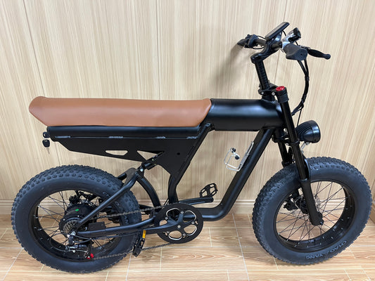 BLJ DP-2006 48v 500w Super 73 vélo électrique 20*4.0 gros pneu suspension complète E vélo