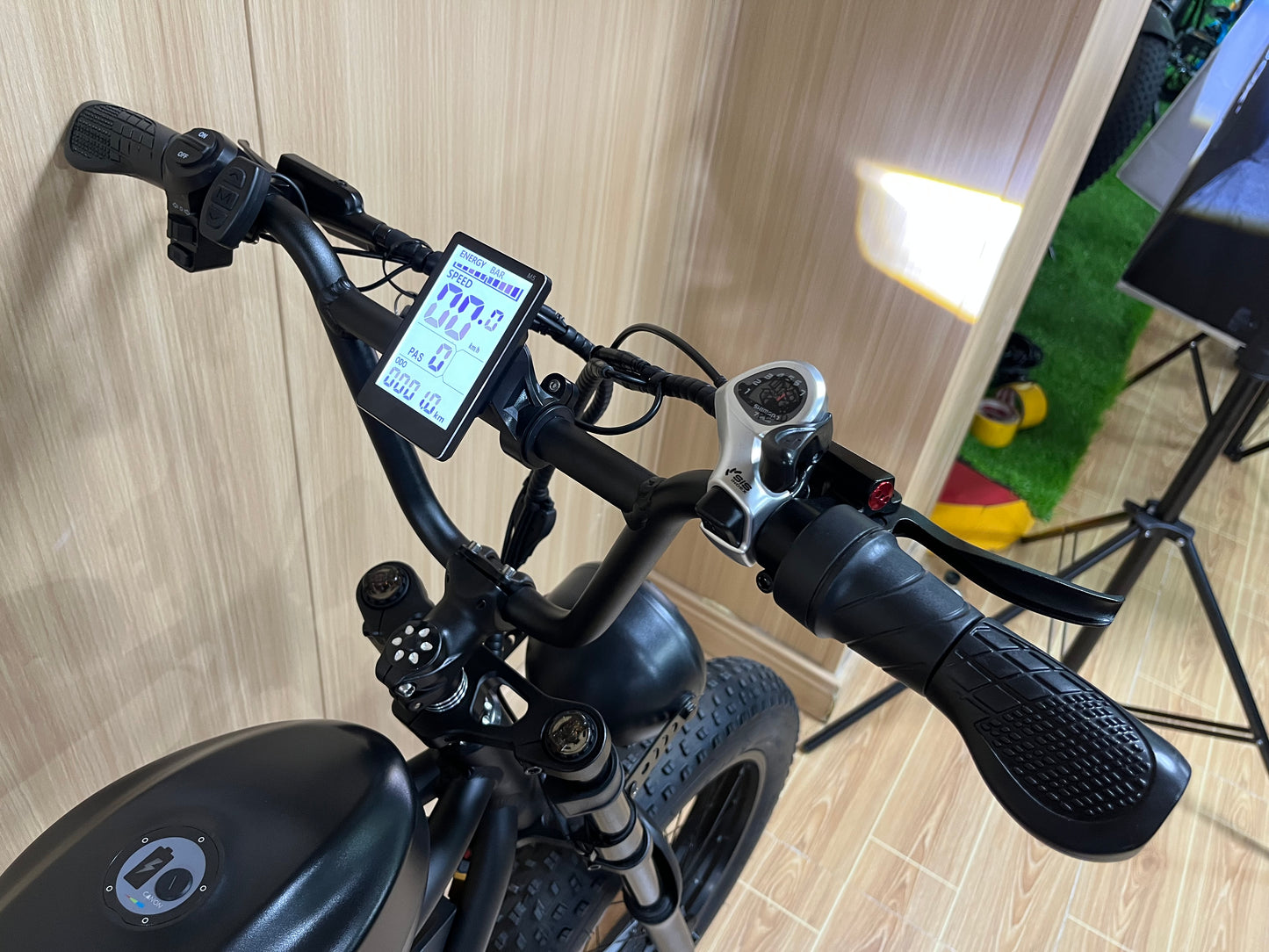 BLJ DP-2007 Vélo Électrique 20'' Gros Pneu Neige E-Bike Avec Grande Batterie 20Ah