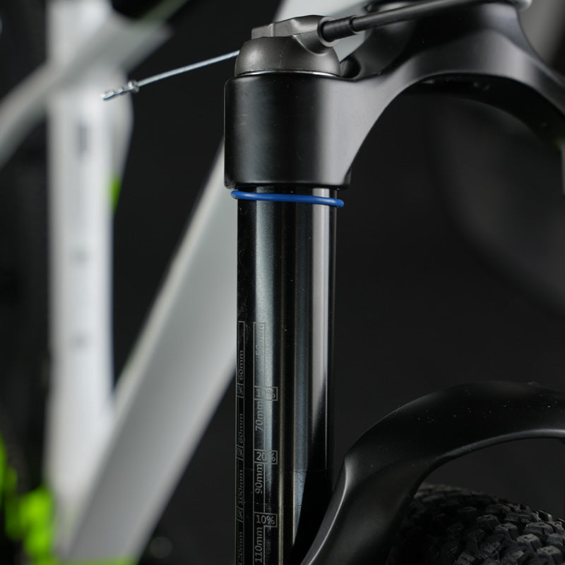 EUROBIKE full carbon mountain bike M2 - 27.5 inch, WHEELTOP wireless derailluer 12 speed, hydraulic disc brake