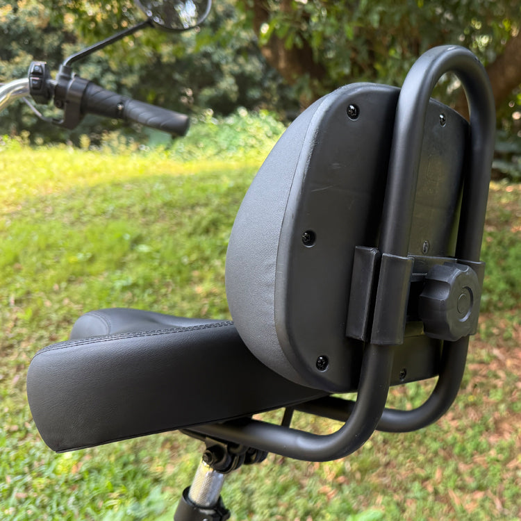 Foldable cargo e-trike - 48v 350w rear-drive, top speed 25km/h, 16 inch tire