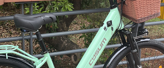 Winter Storage Tips for E-Bike Lithium Batteries