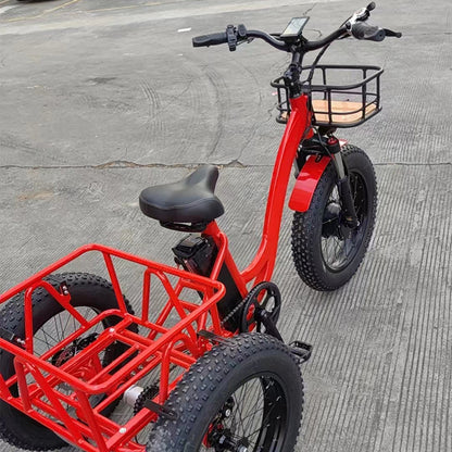 BLJ 20 inch fat tire electric bikes cargo 48v 750w 20Ah with three wheels aluminum