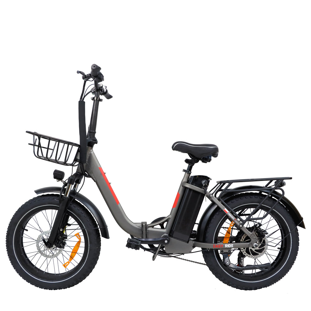 BLJ EU Stock DZ-2030 Fat Tire Electric Folding Bicycle 20'' Women's City Snow Ebike