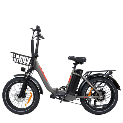 BLJ EU Stock DZ-2030 Fat Tire Electric Folding Bicycle 20'' Women's City Snow Ebike