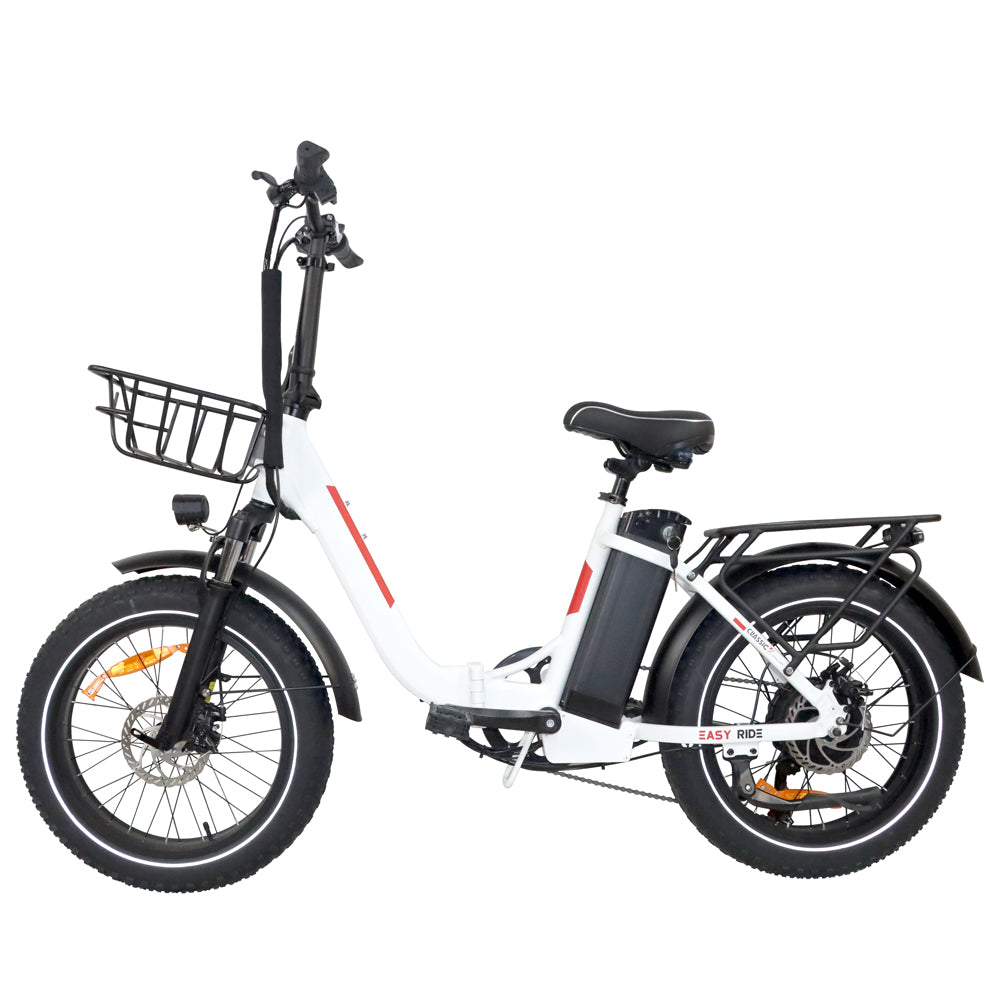 BLJ EU Stock DZ-2030 Fat Tire Electric Folding Bicycle 20'' Women's City Snow Ebike