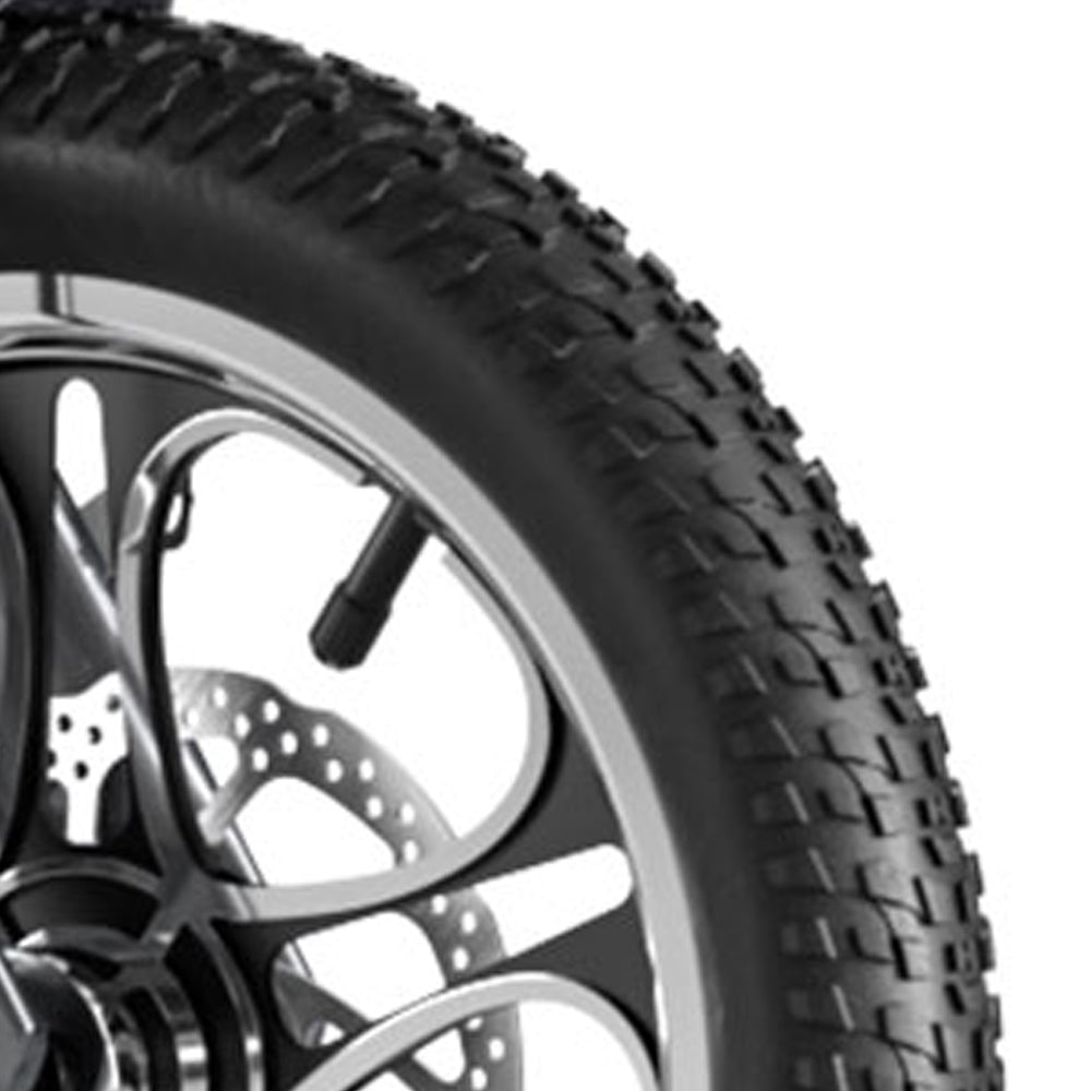 Foldable cargo e-trike - 48v 350w rear-drive, top speed 25km/h, 16 inch tire