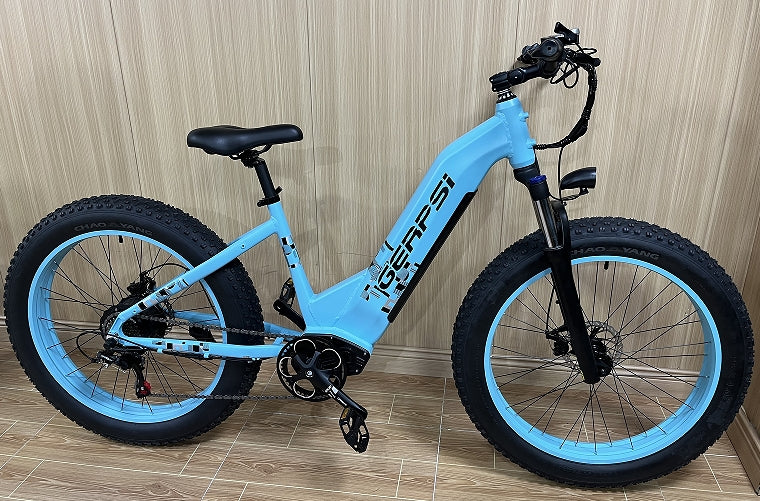 BLJ DP-2621 Women Step Throught Electric Bicycle 48v 500W 26'' Fat Tire E Mountain bike