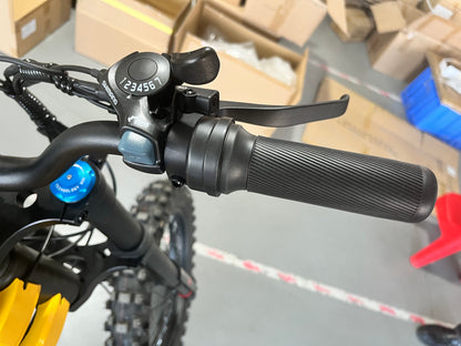 Off road high speed powerful electric motorcycle ebike 22.5 inch, 3000w, max 70km/h