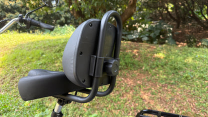 Foldable cargo e-trike - 48v 350w rear-drive, top speed 25km/h, 16 inch tire