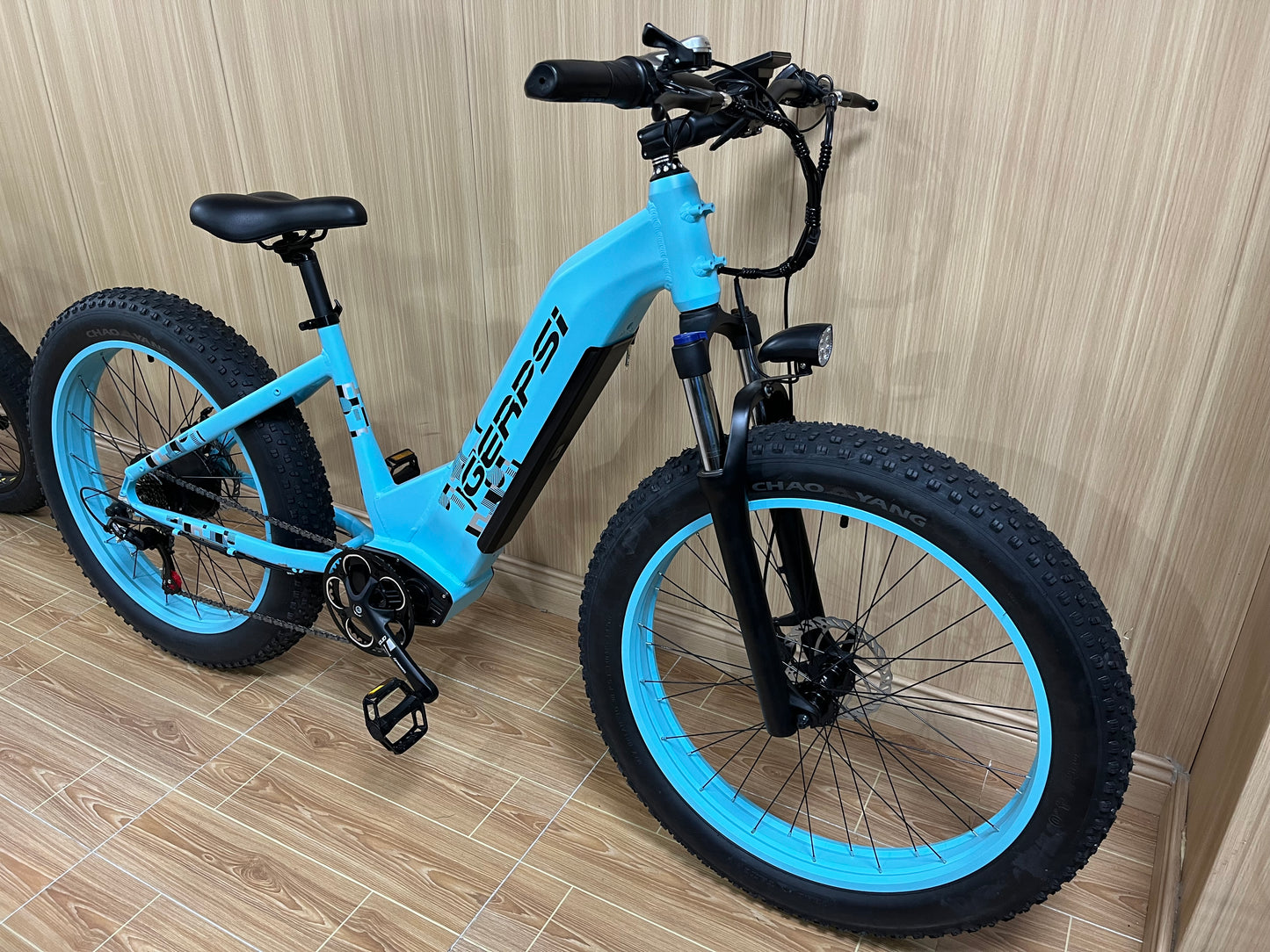 BLJ DP-2621 Women Step Throught Electric Bicycle 48v 500W 26'' Fat Tire E Mountain bike