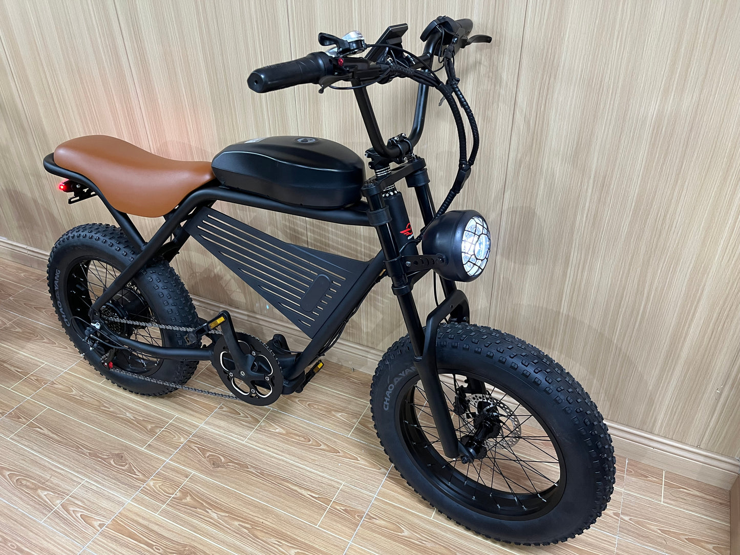 BLJ DP-2007 Electric Bicycle 20'' Fat Tire Snow E-Bike With Large Battery 20Ah