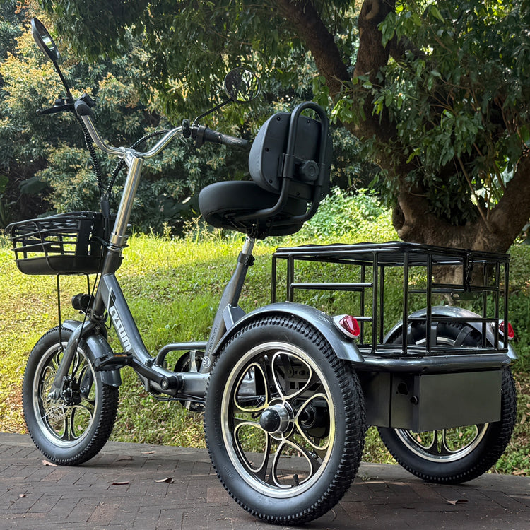 Foldable cargo e-trike - 48v 350w rear-drive, top speed 25km/h, 16 inch tire